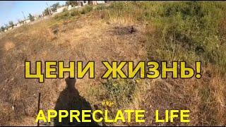 ЦЕНИ ЖИЗНЬ / APPRECLATE LIFE