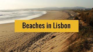 Cool beaches in and around Lisbon