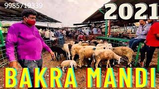 WHOLESALE BAKRA MANDI IN HYDERABAD- BAKRA MARKET- BAKRA MANDI- BAKRA EID SHOPPING- 9985719339