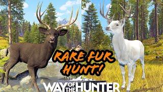 If it isn't a rare fur I don't want it! | Way of the Hunter