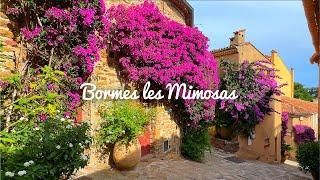 [4K] Bormes-les-Mimosas : A flower village that won the Entente Florare Gold Medal 2023