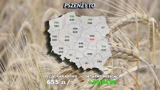 #256 agro wiadomości nonstop   04 06 2024