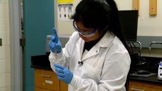 Innovation at Work: Food safety could be improved using magnetic ionic liquids