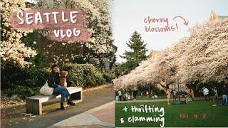 thrifting in seattle, uw cherry blossoms, clamming | spring weekend diaries