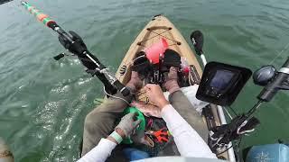 KAYAK FISHING PULAU UBIN  SINGAPORE -WHEN FISHES LOVES ACTION, TIME TO CHANGE TO RUBBER JIG.