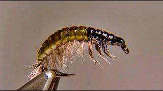 Oliver Edwards Tying the Hydropsyche Larva Fly Pattern