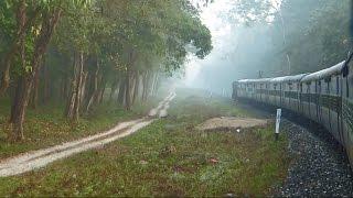 TRAIN ride through DENSE jungle : Indian Railways