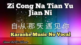 Ci Cong Na Tian Yu Jian Ni 自从那天遇见你 karaoke mandarin no vokal