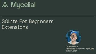 SQLite for beginners: extensions