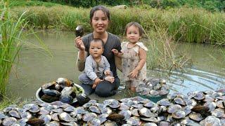 How to harvest giant oysters to sell at the market - cook oyster porridge for your children to eat