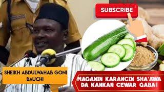 MAGANIN KARANCIN SHA'AWA DA KANKANCEWAR GABA!  SHEIKH ABDULWAHAB GONI BAUCHI! #viral #shortvideo