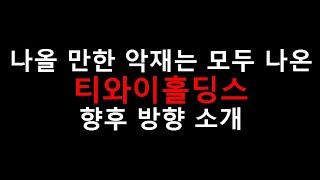 악재 나올것은 다나온 티와이홀딩스 향후 방향소개