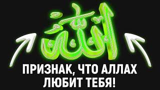 ГЛАВНЫЙ ПРИЗНАК, ЧТО АЛЛАХ ЛЮБИТ ТЕБЯ | Dawah медиа