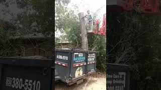 Quick Load Tree Removal