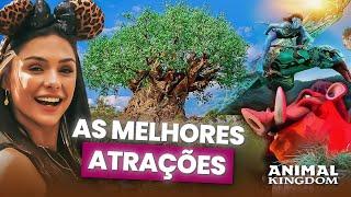 ANIMAL KINGDOM ORLANDO - MELHORES ATRAÇÕES + ROTEIRO PERFEITO DETALHADO - 2024