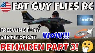 FREEWING F-14A  TWIN 64MM TOMCAT REMAIDEN PT 3 by  Fat Guy Flies RC