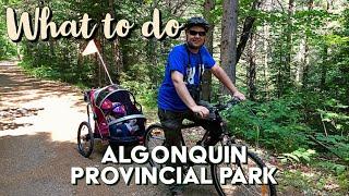 13 Things to do in Algonquin Provincial Park