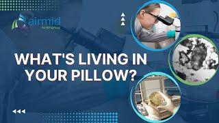 What's Living In Your Pillow?