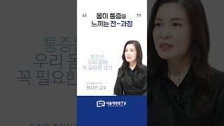 몸이 통증을 느끼는 과정은? #1분건강