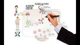 Pharmacology - DRUGS FOR DIABETES (MADE EASY)