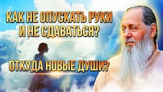 Как не опускать руки и не сдаваться? Откуда новые души?