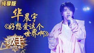 【单曲纯享】华晨宇《好想爱这个世界啊》治愈系暖曲沁人心脾《歌手·当打之年》Singer2020 EP9【湖南卫视官方HD】