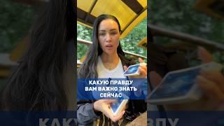 ваш СТАТУС в шапке профиля  #таро #tarot #деньги #любовь #предсказание #психология #эзотерика