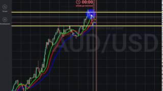 стратегия торговля от уровней + аллигатор