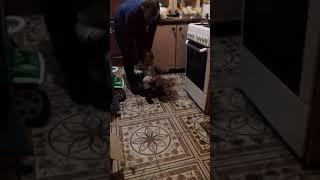 Лучшие детские приколы