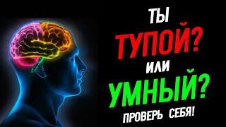 Тест: Насколько Ты Умный? Проверь Себя! @HomelandChannel