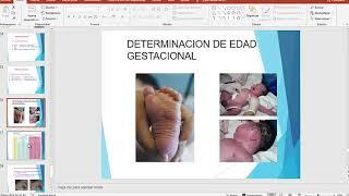4) josefina norma tecnica neonatal - josefina