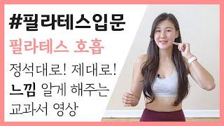 필라테스입문 1편: 필라테스 호흡 정석대로 제대로 알려 드립니다 (What/Why/How) | 제스핏