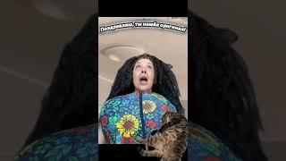 Кстати, это моя кошка на фото #я #кажется #дзен #словила #женщина #вы #куда #в #дубай