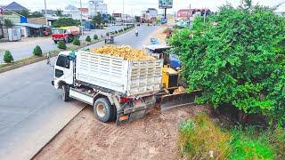 Best startnew project Landfill by Expert Driver KOMATSU D31P DOZER Pushing & Dump Truck dumping soil