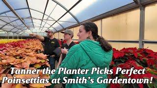 Tanner the Planter Picks Perfect Poinsettias at Smith’s Gardentown! 