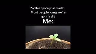 plants vs zombies lore