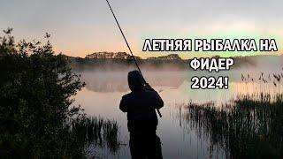 Летняя рыбалка на фидер 2024! Украли мотыля!! Готовлю шикарный завтрак.