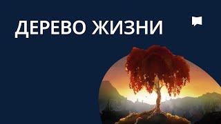 Древо жизни  Tree Of Life