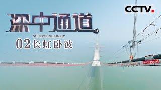 《深中通道》EP2 撑起一整座桥梁 从锻造一根细细的钢丝开始——长虹卧波【CCTV纪录】