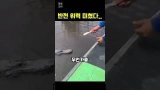 고기를 물에 던지려하자…