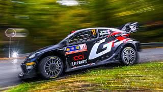 Best of WRC Central European Rally 2024 | Crashes, Action and Raw Sound