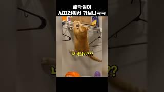 도와줄까??