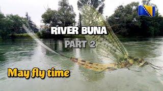 Fly Fishing in Bosnia  | River Buna | Part 2 - May Fly Action