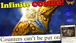 MTG Modern ▷ New Infinite Combo MetaSlayer Deck! ◁ w/ Solemnity & Luminous Broodmoth!【DSK】