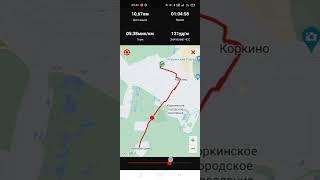 Бег 15 км на пульсе ~130 у/мин. Легкая тренировка в разговорном темпе. #бег #спорт #аэробнаянагрузка