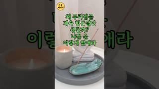 🪷왜 우리집은 계속 힘든일만 생길까? 나쁜 운 이렇게 없애라 #불교명언 #자기수행 #부처님말씀 #마음다비다 #나쁜운 #우리집 #명언