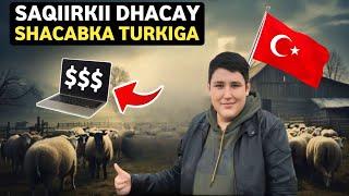 Sidee cunug saqiir ah oo Turkish ah $100 Milyan uga qaatey shacabka Turkiga?  Qiso cajiib ah