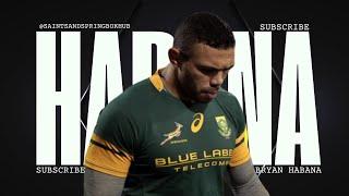 Why Bryan Habana is the Greatest Winger in Rugby History