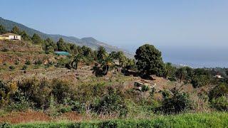 Auf Wasserkanälen nach Las Nieves - Leichte Wanderung auf La Palma