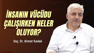 İnsanın Vücudu Çalışırken Neler Oluyor - Doç. Dr. Ahmet Kavlak